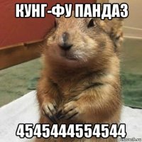 кунг-фу панда3 4545444554544