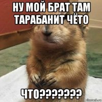 ну мой брат там тарабанит чёто что???????