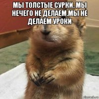 мы толстые сурки. мы нечего не делаем.мы не делаем уроки 