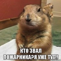  кто звал пожарника?я уже тут!!