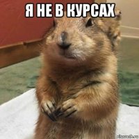 я не в курсах 