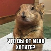  что вы от меня хотите?