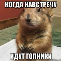 когда навстречу идут гопники