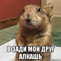  в зади мой друг алкашь