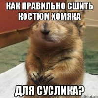 как правильно сшить костюм хомяка для суслика?