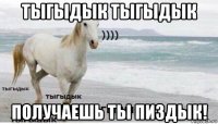 тыгыдык тыгыдык получаешь ты пиздык!