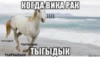 когда вика рак тыгыдык