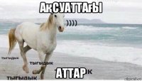 ақсуаттағы аттар