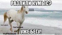 разлили кумыс? уже бегу!