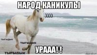 народ каникулы урааа! !