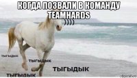 когда позвали в команду teamhards 