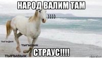 народ валим там страус!!!!