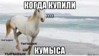 когда купили кумыса