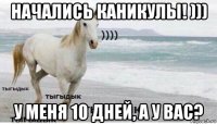 начались каникулы! ))) у меня 10 дней, а у вас?