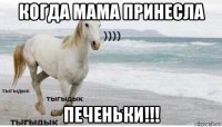 когда мама принесла печеньки!!!