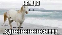 немцы здееееееееееееесь!!!!!!!