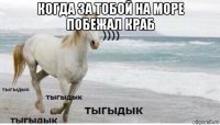 когда за тобой на море побежал краб 