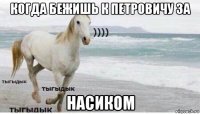 когда бежишь к петровичу за насиком