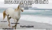 когда катя увидела чёрный и упругий 