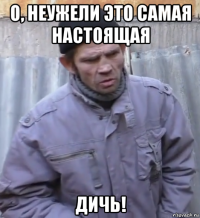 о, неужели это самая настоящая дичь!