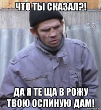 что ты сказал?! да я те ща в рожу твою ослиную дам!