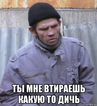  ты мне втираешь какую то дичь