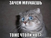 зачем мяукаешь тоже чтоли кот?