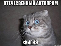 отечесвенный автопром фигня