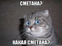 сметана? какая сметана?