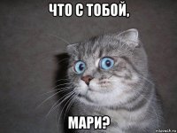 что с тобой, мари?