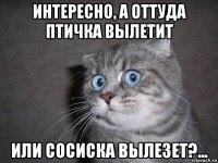 интересно, а оттуда птичка вылетит или сосиска вылезет?...