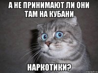 а не принимают ли они там на кубани наркотики?