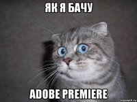 як я бачу adobe premiere