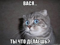 вася... ты что делаешь?