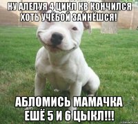 ну алелуя 4 цикл кв кончился хоть учёбой зайнёшся! абломись мамачка ешё 5 и 6 цыкл!!!