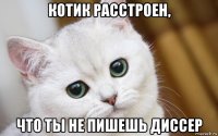 котик расстроен, что ты не пишешь диссер