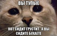 вы тупые кот сидит грустит.. а вы сидите бухаете