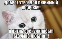 доброе утро, мой любимый юсичка!!! я очень соскучилась!!! безумно люблю!!!