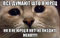 все думают што я юрец но я не юрец я кот! не пиздите меня!!!!!