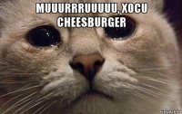 muuurrruuuuu, xocu cheesburger 