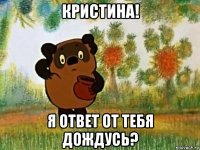 кристина! я ответ от тебя дождусь?