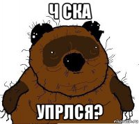 ч ска упрлся?