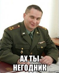  ах ты негодник