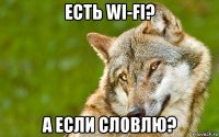 есть wi-fi? а если словлю?