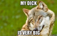 my dick is very big