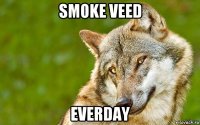 smoke veed everday