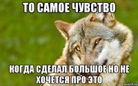 то самое чувство когда сделал большое но не хочется про это