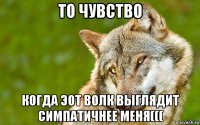 то чувство когда эот волк выглядит симпатичнее меня(((