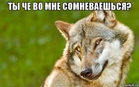 ты че во мне сомневаешься? 