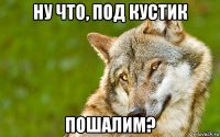 ну что, под кустик пошалим?